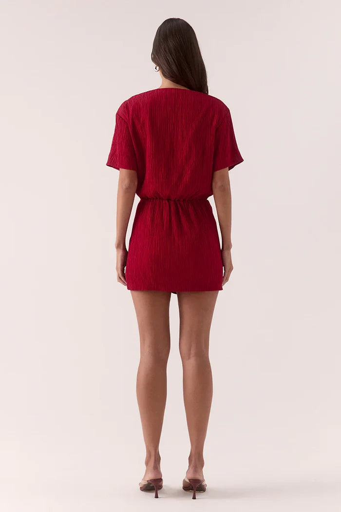Aine Mini Dress