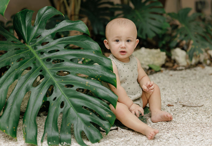 Baby Boy Romper - Sage - Printed Palm Trees