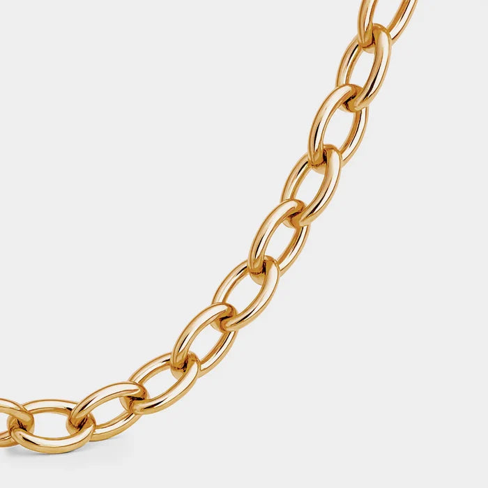 Coluri Charm Necklace Thick Gold Chain