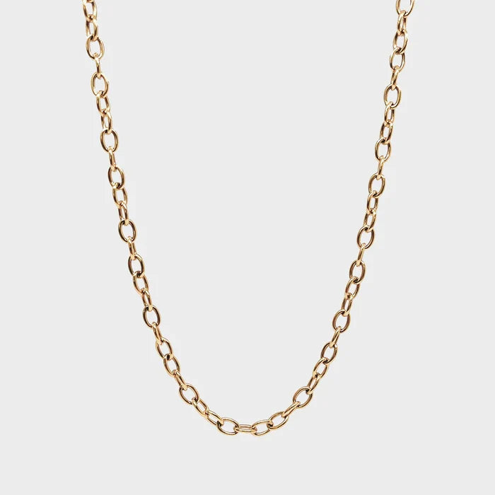 Coluri Charm Necklace Thin Gold Chain