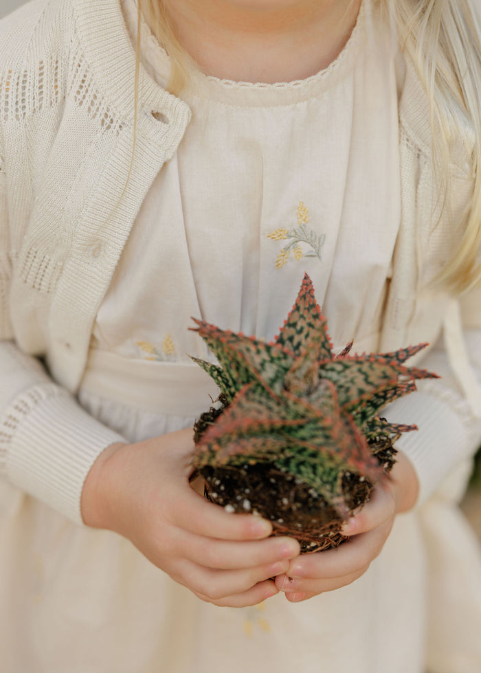 Girls Embroidered Floral Dress – Ivory – Holland Collection