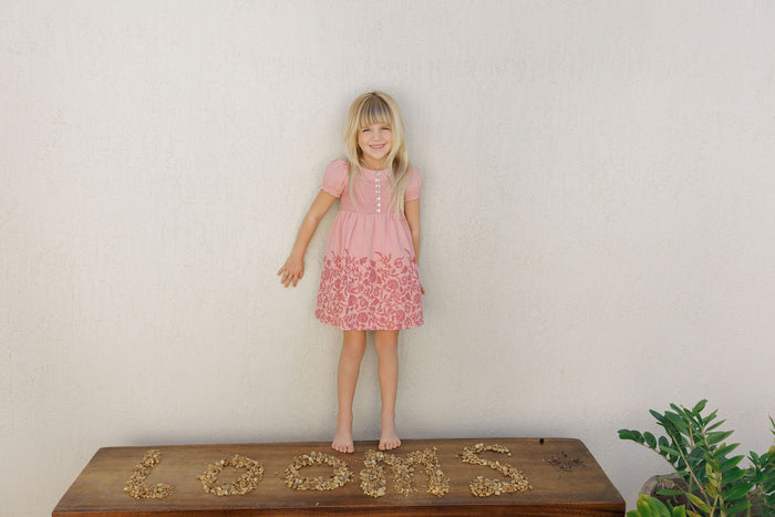 Girls Smocked Short Sleeve Floral Dress – Pink/Red – Storybook Collection