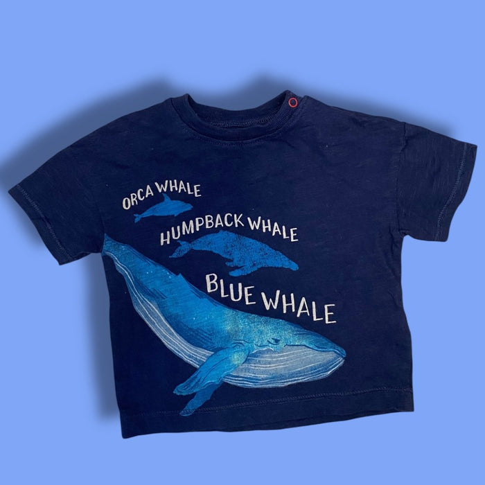 hatley tee 6-9m