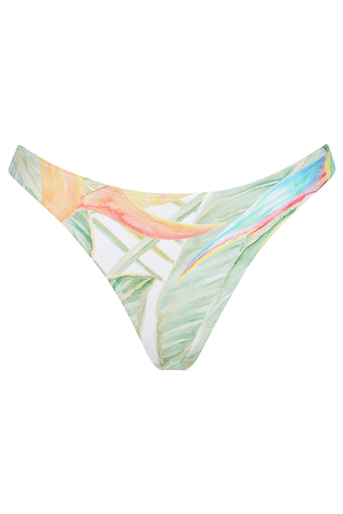Paradise Curve Brief - CHARLIE MAE
