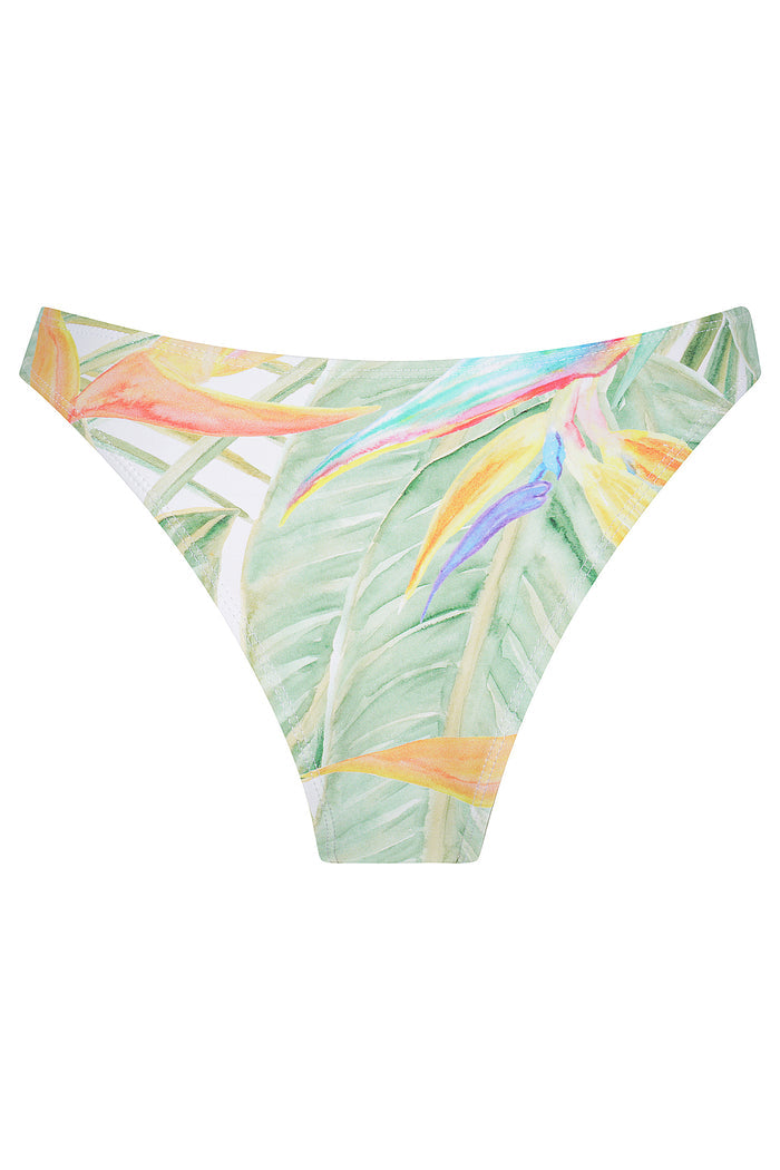 Paradise Curve Brief - CHARLIE MAE