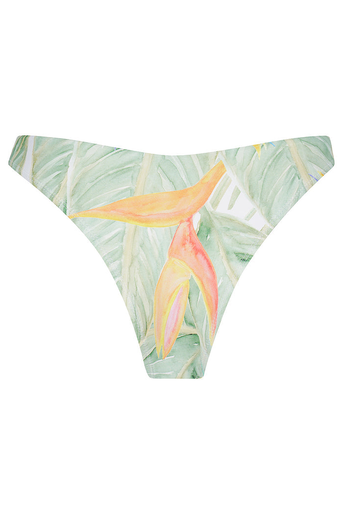 Paradise V Front Bottom - CHARLIE MAE