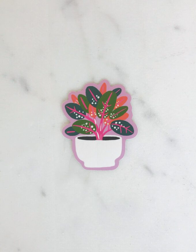 Sticker Single Diecut