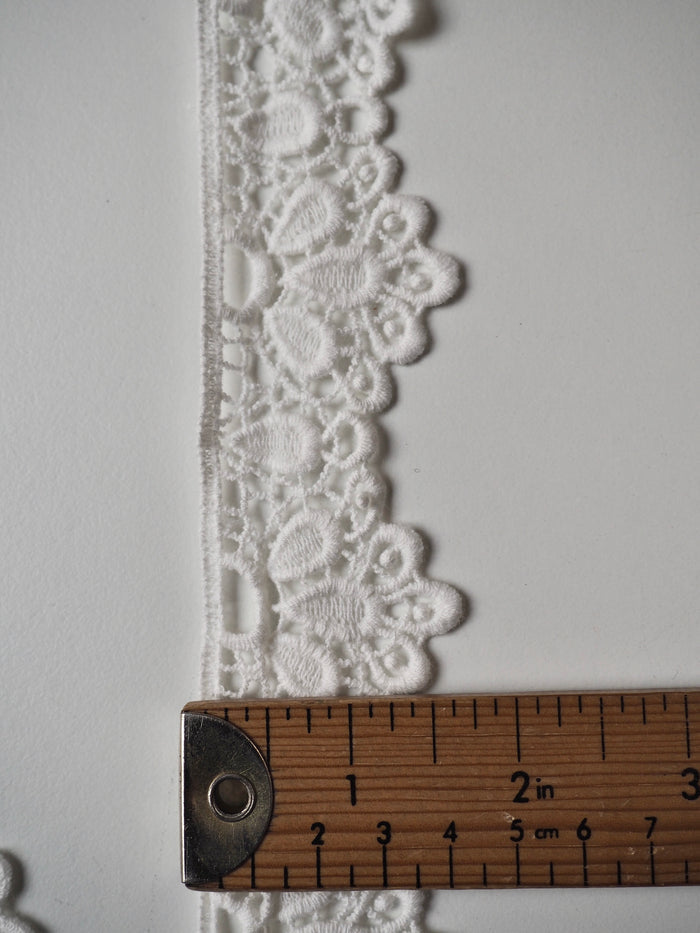 White Cotton Petal Scallop Lace Trim 45mm
